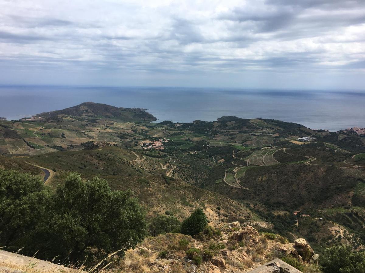 Vue Mer Panoramique Exceptionnelle L T2 Mezzanine Luxueux Banyuls-sur-Mer Exterior foto